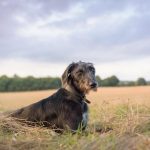 Photographer Camberley