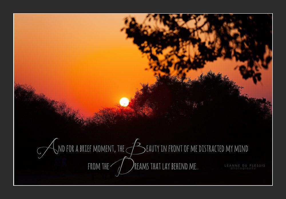 Sunsets and quotes