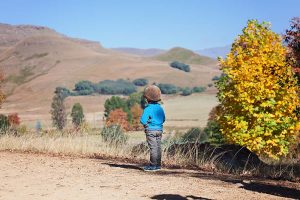 Lifestyle Children's Photographer