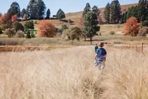 Landscape Photography