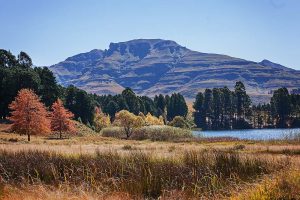 Landscape Photography