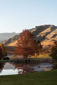 Landscape Photography