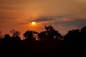 Wildlife Photography - Mangwa Valley Lodge