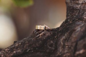 International Wedding Photographer UK