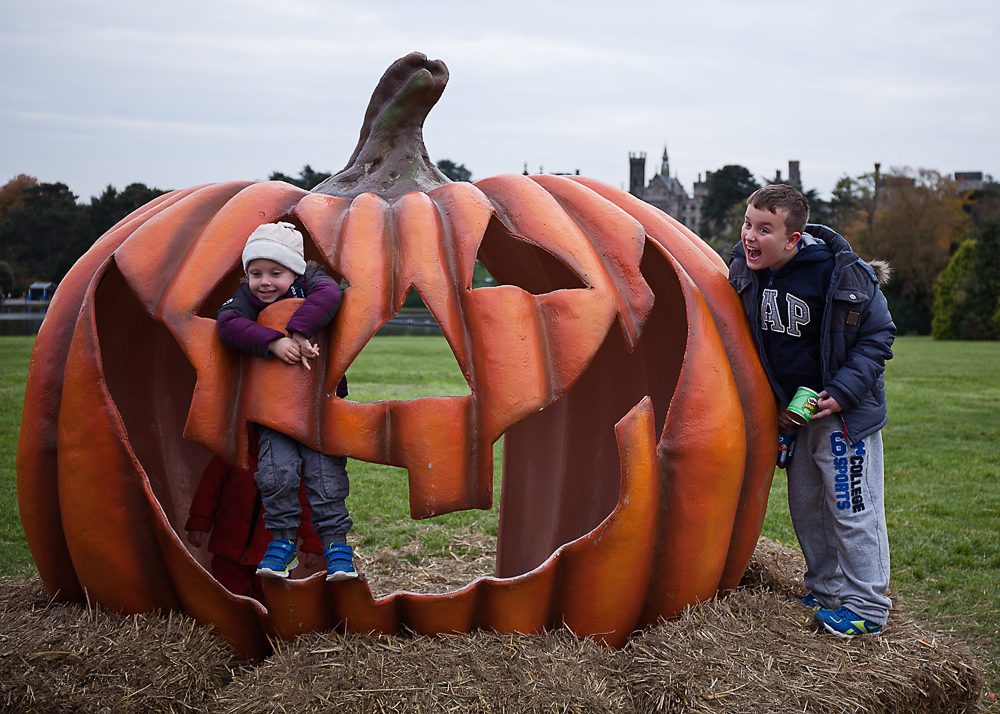 Halloween - Leanne du Plessis Photography