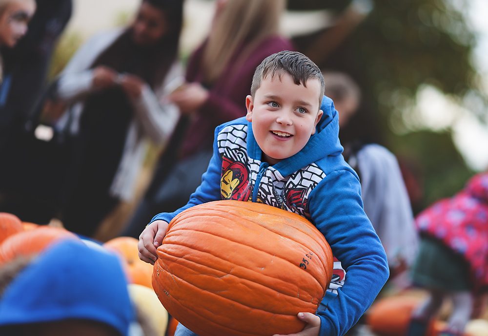 Halloween - Leanne du Plessis Photography
