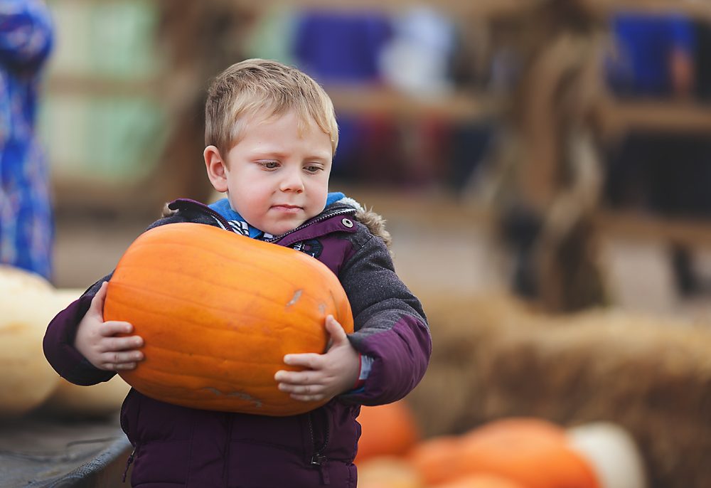 Halloween - Leanne du Plessis Photography
